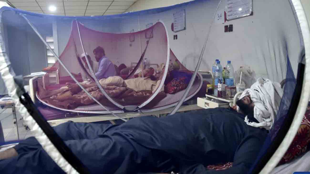  پاکستان میں ڈینگی بخار کی شدت میں اضافہ